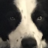 Kandgo