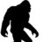 Sasquatch