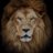 whitelion83