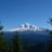 clearwired