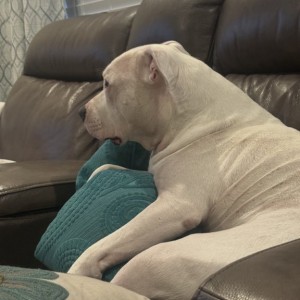 Dont mind me watching the movie with you