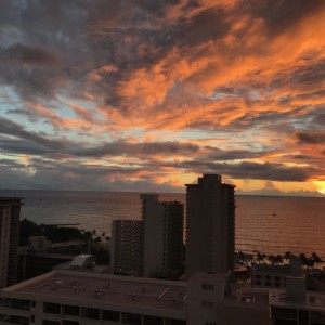 Sending a little Aloha from Waikiki to everyone! Cant wait till Christmas gets here!