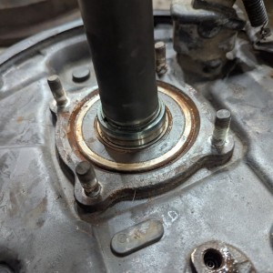 Tundra wheel bearing