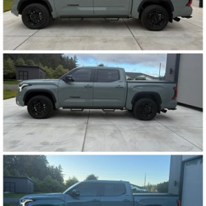 Tundra Evolution