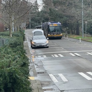 Another asshole tesla owner. Too important to drive 100' to parking. Just stop, put on hazards and block traffic.