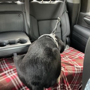 Even stoned he rides like an idiot
