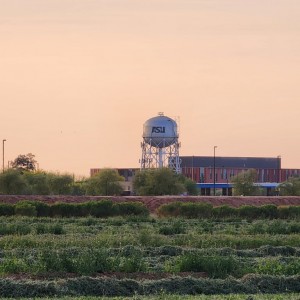 20250330_063701