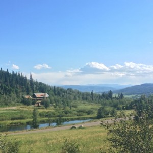 IMG_39341