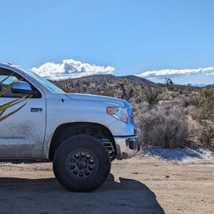 Mojave Trail