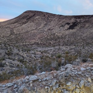 PXL_20240110_005032837