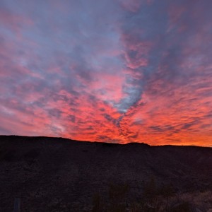 PXL_20240110_010149992