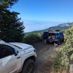 PXL_20241013_190642474