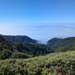 PXL_20241013_190547780