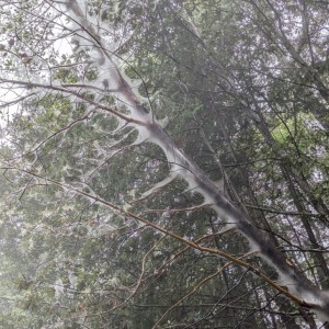 PXL_20241012_195426765