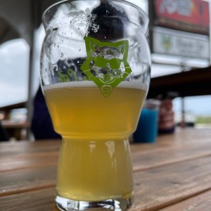 55 degrees and beer