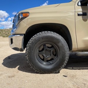 2019 Tundra Quicksand FN5579550255 - 1200x900 (2)