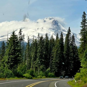 Mt Hood