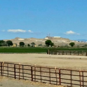 Northern Nv1