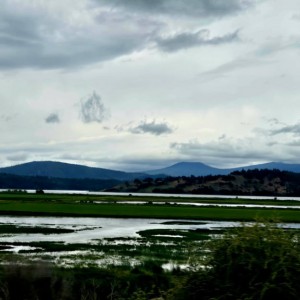 Klamath Area