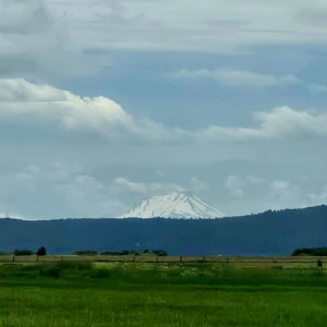 Mt Shasta
