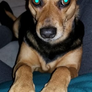 Abby