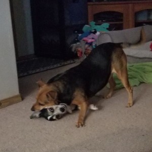 Abby and Wilson