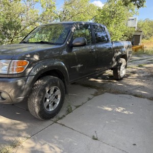 Tundra