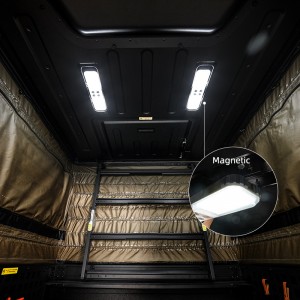 Pickup Truck
