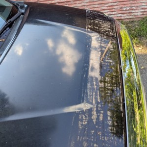 PPF Hood