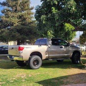 Tundra