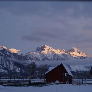 Cold Winter Morning