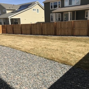 Sod is in. Next step is concrete patio with a built in fire place