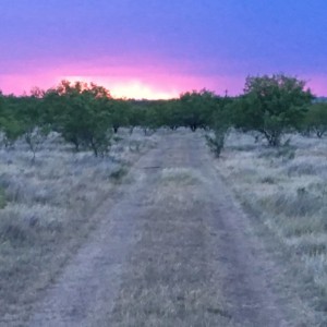 End of the day at the Ranch.