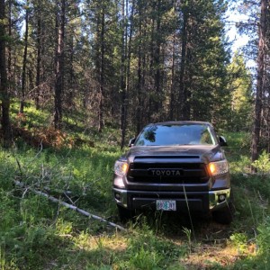 Truck going places it probably shouldn't...while staying on trail.