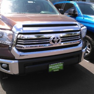 Tundra3