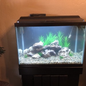 Completely re did the aquarium. Pretty sure I saw an aquarium thread in here.