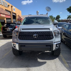 hood bulge and grill surround painted