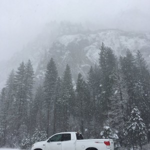 YOSEMITE WHITE OUT