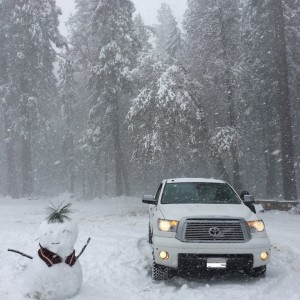 YOSEMITE SNOWMAN