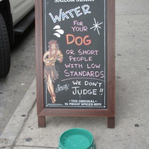 Bar Sign Water For People With Low Standards