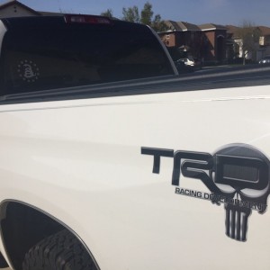 TRD Punisher