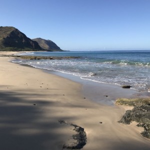 Some dolphin watching from Makua Beach! There are worse places I could be!!!