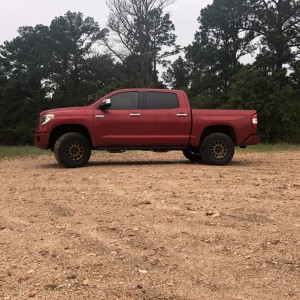 Tundra in the Dirt