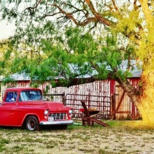 55 Chevy