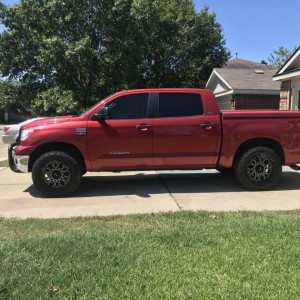 Tundra2