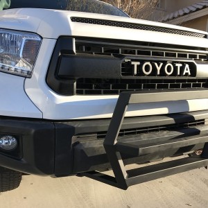 Custom Bull Bar