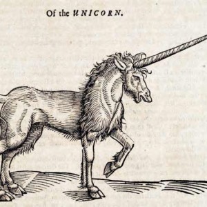 Oftheunicorn