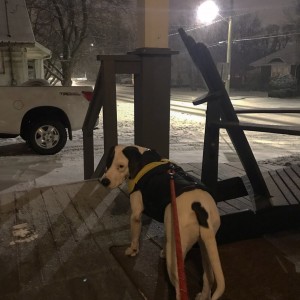 Sadies first snow