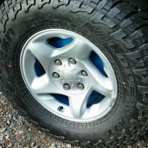 BLUE WHEEL
