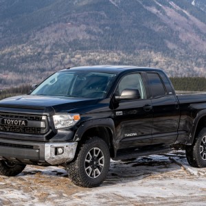 Tundra(1 Of 2)